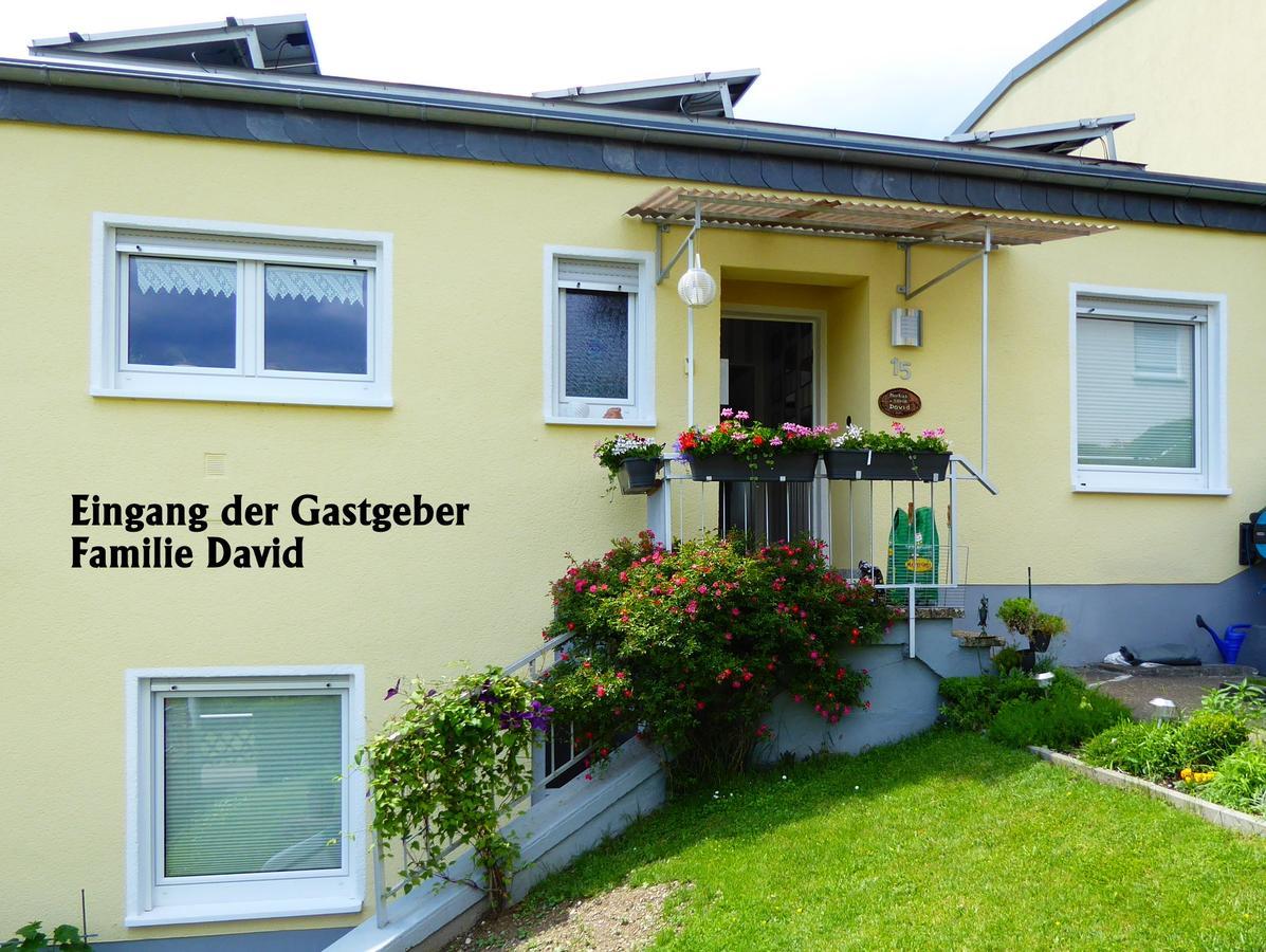 Ferienwohnung David Lorch am Rhein Ngoại thất bức ảnh